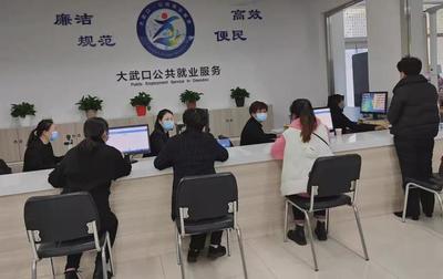 一超六特 務實苦干 2021年大武口區(qū)就業(yè)創(chuàng)業(yè)工作成效顯著